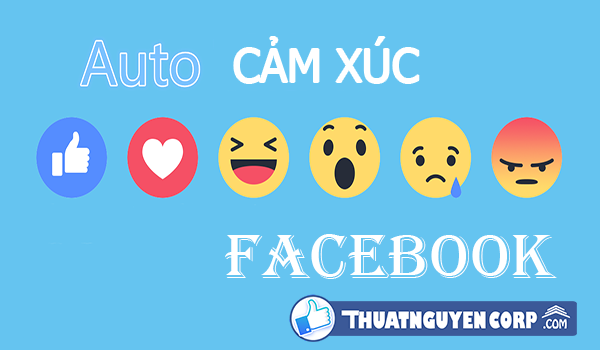 auto cam xuc